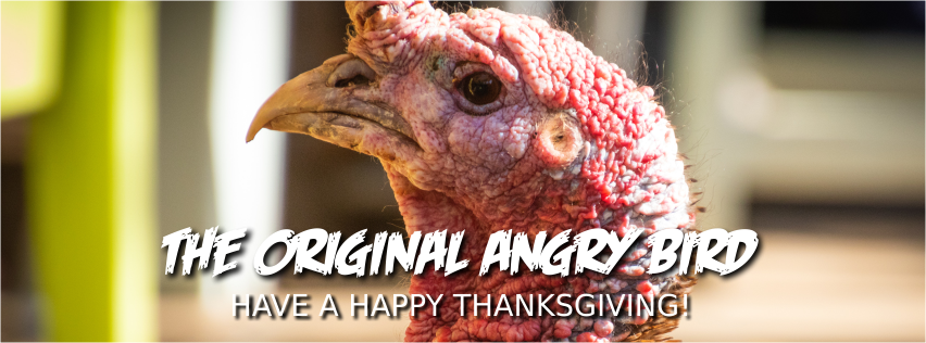 happy thanksgiving header turkey